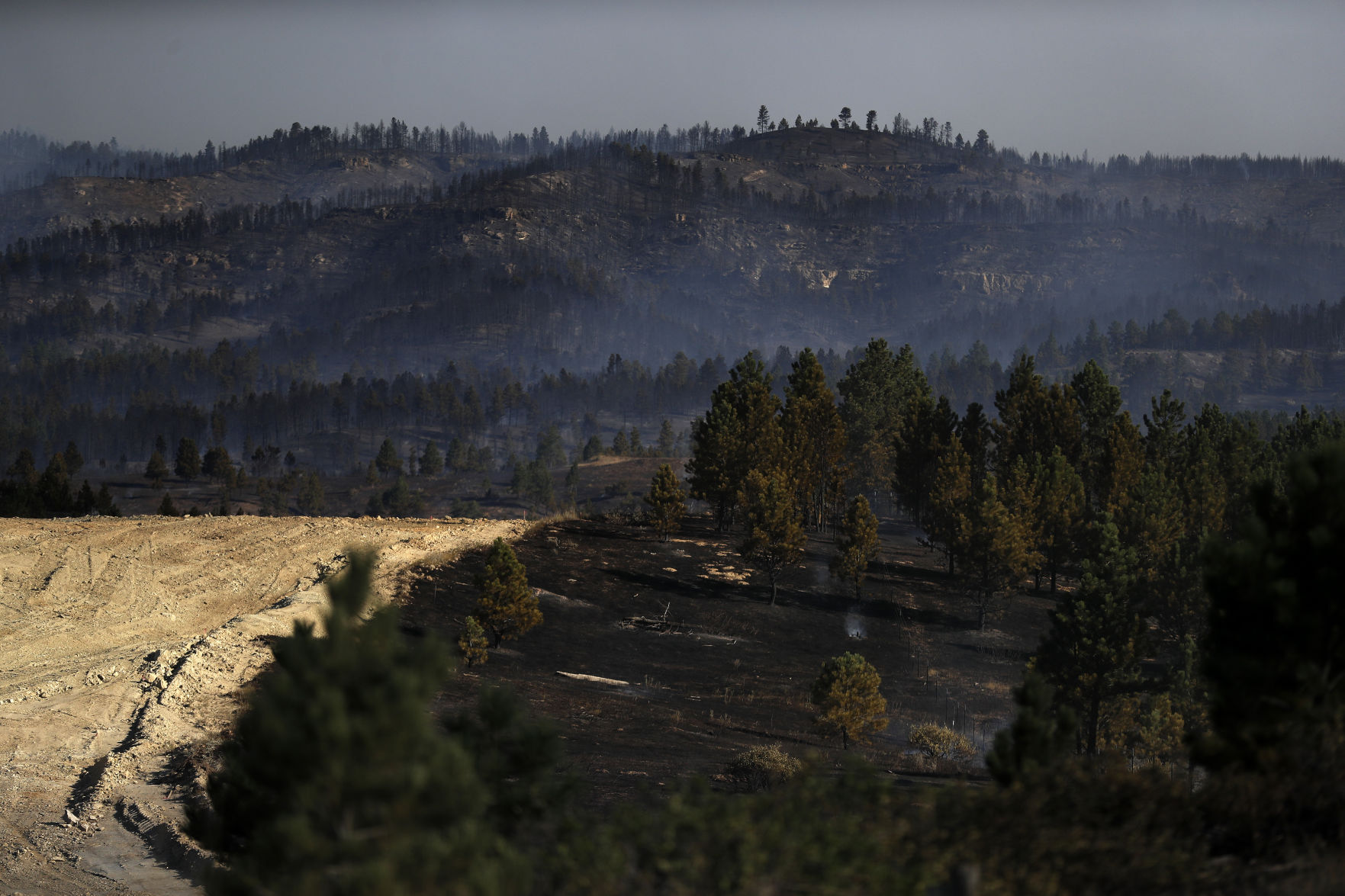 Bobcat fire
